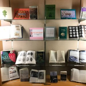 Books in the Schow display case