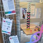 a section of a display featuring colorful building blocks and informational posters about National DNA Day 2023