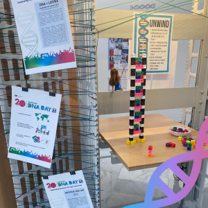 a section of a display featuring colorful building blocks and informational posters about National DNA Day 2023