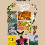 Title Text Reads: "To Bee or not to Bee: Stories told about pollen, pollinators, and the pollinated." A loose grid of images, both photographic and graphic below title text are as follows: A flower releases pollen into wind. A hummingbird hovers. Butterflies fly in a forest in one image, and fly through a deforested landscape near a large tractor in another image. Bees swarm over honeycombs. A vanilla orchid flower. A cocoa tree. Fresh veggies and fruits arranged in baskets. a tree silhouette with many bats hanging from it's branches. A handful of seeds. A wasp visiting a flower. A large pink orchid flower. A green and black butterfly. Underneath these images is text stating: "June is national pollinator month!"