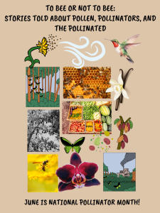 Title Text Reads: "To Bee or not to Bee: Stories told about pollen, pollinators, and the pollinated." A loose grid of images, both photographic and graphic below title text are as follows: A flower releases pollen into wind. A hummingbird hovers. Butterflies fly in a forest in one image, and fly through a deforested landscape near a large tractor in another image. Bees swarm over honeycombs. A vanilla orchid flower. A cocoa tree. Fresh veggies and fruits arranged in baskets. a tree silhouette with many bats hanging from it's branches. A handful of seeds. A wasp visiting a flower. A large pink orchid flower. A green and black butterfly. Underneath these images is text stating: "June is national pollinator month!"